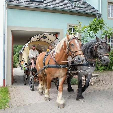 Дом отдыха Nengshof Glockenblume