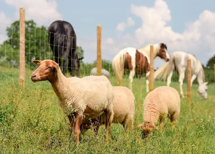 Дом отдыха Nengshof Glockenblume *
